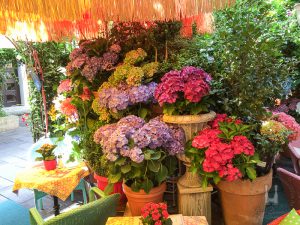 Asamhof: Blumen über Blumen im Playa Cafe & Restaurant