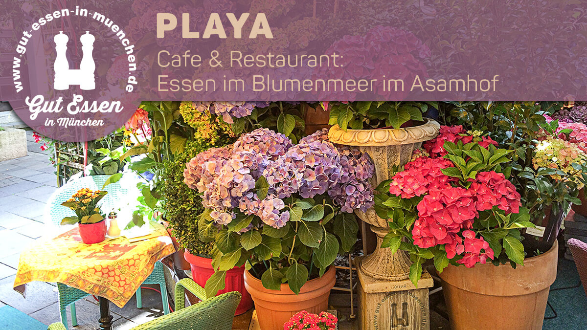 Café & Restaurant Playa im Asamhof